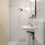 Dolphin 2