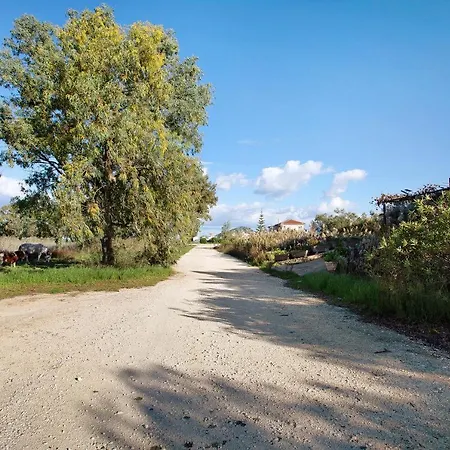 Dolphin 2 * Керион